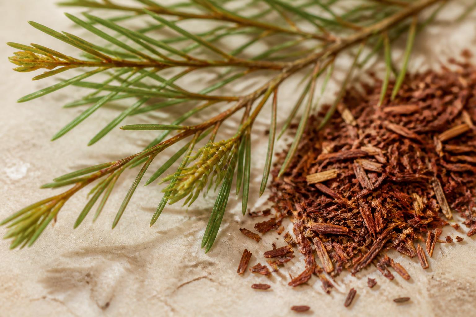 Fresh and dried South African rooibos, the key ingredient in Annique skincare